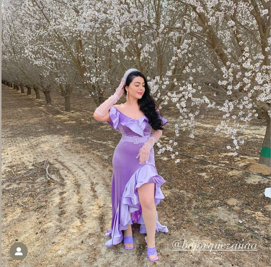 Tina's Glam Velvet Maxi Dress