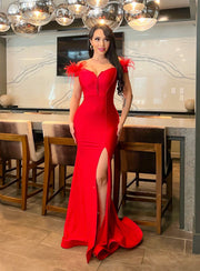 The Most Elegant feather Dress